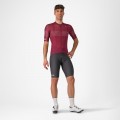 Herren Trofeo Giro d'Italia 2024 Trikot-Bordeaux Herren Trofeo Giro d'Italia 2024 Trikot-Bordeaux