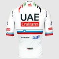 Herren Pissei Team UAE 2024 Magistrale Trikot-Slowenischer Meister Herren Pissei Team UAE 2024 Magistrale Trikot-Slowenischer Meister