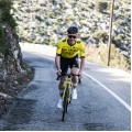 Herren Team Visma Lease a bike 2025 trikot Herren Team Visma Lease a bike 2025 trikot