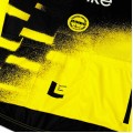 Herren Team Visma Lease a bike 2025 The Wingbeat trikot-Wout Van Aert