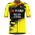 Herren Team Visma Lease a bike 2025 The Wingbeat trikot-Wout Van Aert