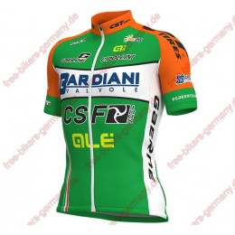 Radsport BARDIANI CSF 2018 Trikot Radsport BARDIANI CSF 2018 Trikot
