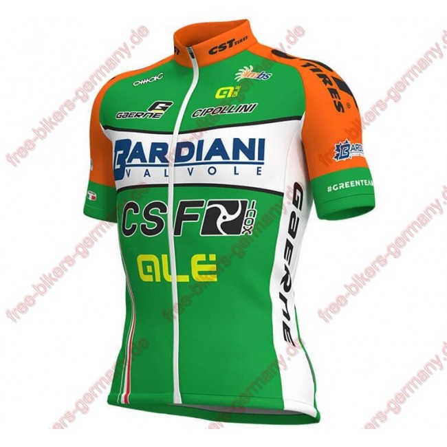 Radsport BARDIANI CSF 2018 Trikot Radsport BARDIANI CSF 2018 Trikot