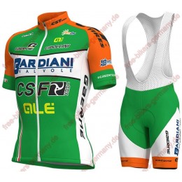 Radsport BARDIANI CSF 2018 Radbekleidung Satz Trikot Kurzarm+Trägerh Radsport BARDIANI CSF 2018 Radbekleidung Satz Trikot Kurzarm+Trägerh