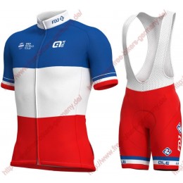 Radsport Groupama Fdj French Champion 2018 Radbekleidung Satz Trikot Kurzarm+Trägerh Radsport Groupama Fdj French Champion 2018 Radbekleidung Satz Trikot Kurzarm+Trägerh