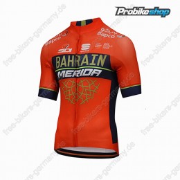 Profiteam 2018 BAHRAIN MERIDA Pro Trikot Profiteam 2018 BAHRAIN MERIDA Pro Trikot