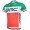 2015 BMC Radtrikot Kurzarm Rot und Grün