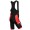 2015 Proteam Scott Weiß-Schwarz-Rot Kurz Trägerhose
