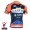 2015 Vini Fantini NIPPO Radtrikot Kurzarm