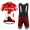 2016 Katusha Fahrradbekleidung Satz Fahrradtrikot Kurzarm Trikot und Kurz Trägerhose 02