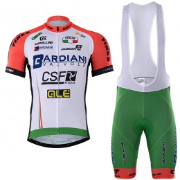2017 BARDIANI CSF Fahrradbekleidung Satz Radtrikot Kurzarm+Kurz Trägerhose 2017 BARDIANI CSF Fahrradbekleidung Satz Radtrikot Kurzarm+Kurz Trägerhose