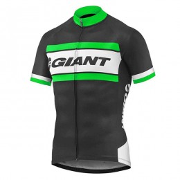 2017 Giant Grün Schwarz Radtrikot Kurzarm 2017 Giant Grün Schwarz Radtrikot Kurzarm