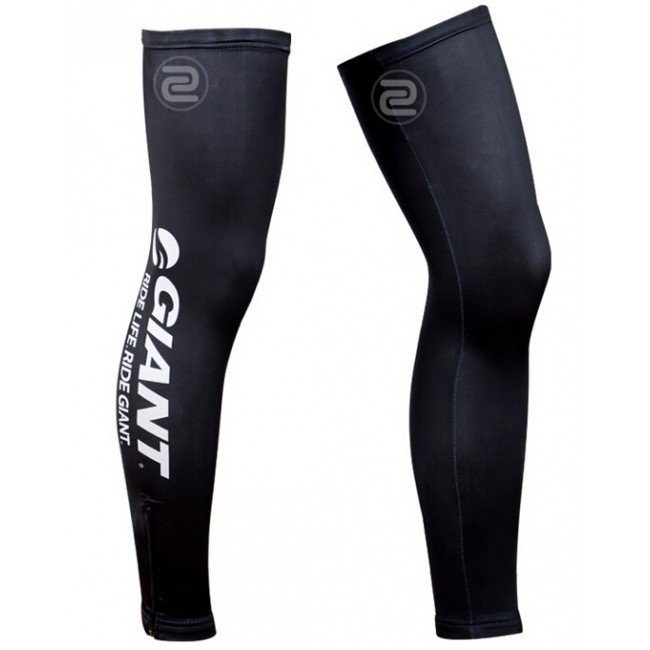 2014 Giant Rad Beinlinge 2014 Giant Rad Beinlinge